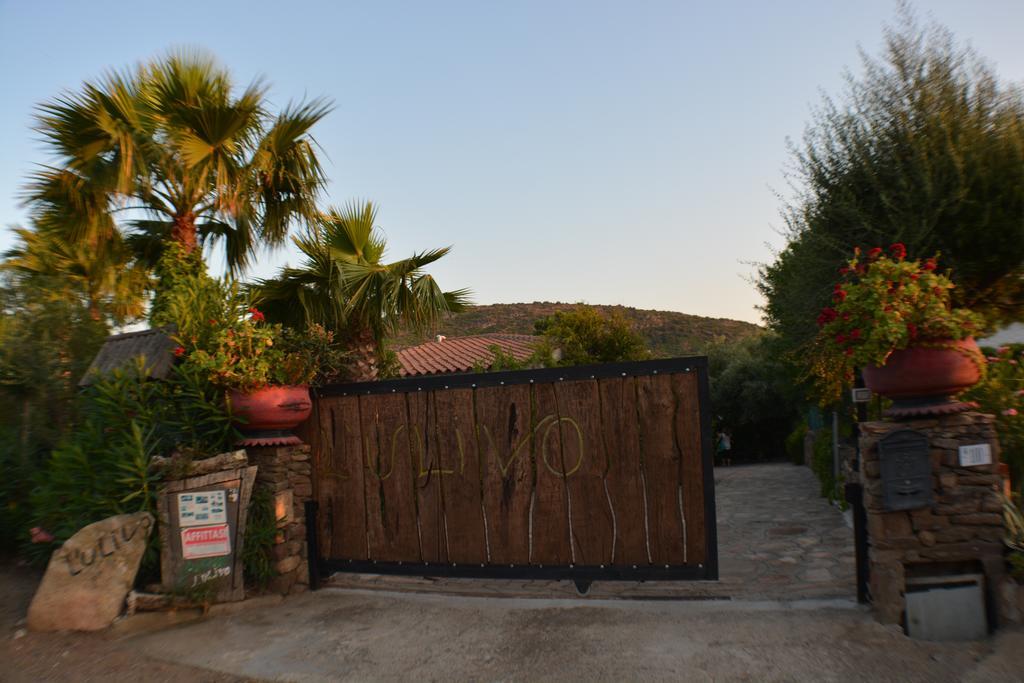 Residence L'Ulivo Budoni Exterior foto