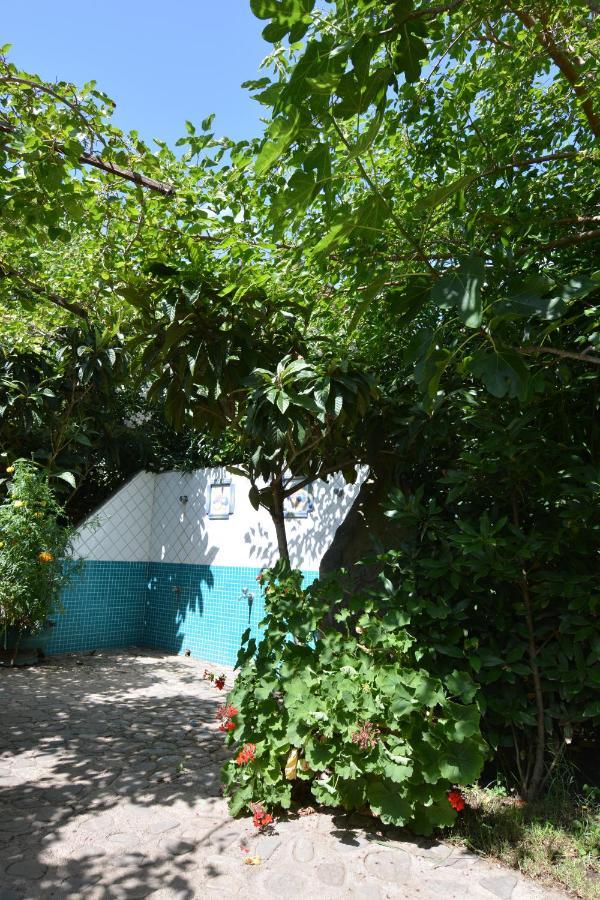 Residence L'Ulivo Budoni Exterior foto